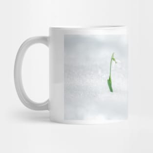 Spring snowdrop on fresh snow Mug